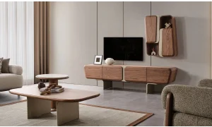 Valencia Tv Ünitesi