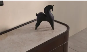 Aragon Tv Ünitesi