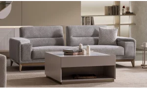 Ares Koltuk Takımı