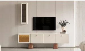 Regent Tv Ünitesi
