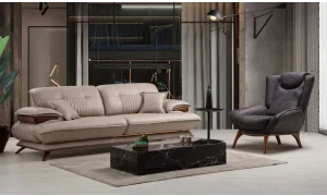 Mercedes Koltuk Takımı