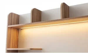 Berlin Çalışma Masası