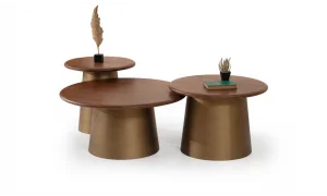 Tola Pirinç Orta Sehpa Seti