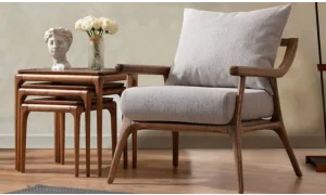 Acara Koltuk Takımı