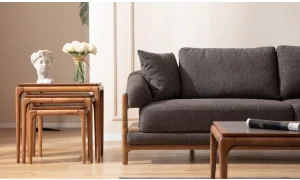 Acara Koltuk Takımı