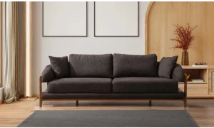 Acara Koltuk Takımı