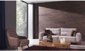 Anka Koltuk Takımı