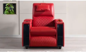 Anika Sinema Koltuğu (Motorlu)