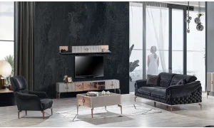 Armi Koltuk Takımı