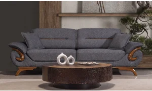 Asel Koltuk Takımı