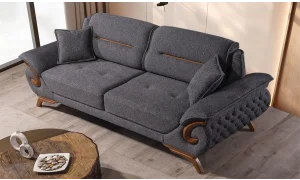 Asel Koltuk Takımı