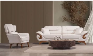 Asel Koltuk Takımı