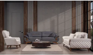 Asel Koltuk Takımı