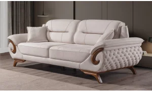 Asel Koltuk Takımı