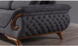 Asel Koltuk Takımı