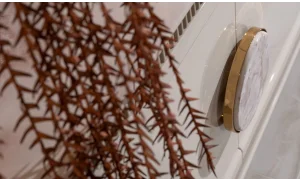 Belezza Yemek Odası Takımı