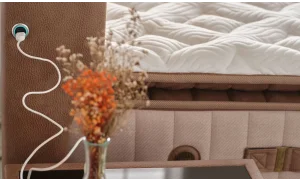 Biosalt Baza (90*190 cm)