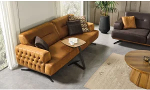 Duru Koltuk Takımı