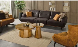 Duru Koltuk Takımı