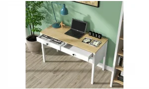 Felix Çalışma Masası