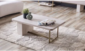 Galya Koltuk Takımı