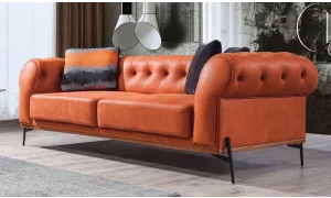 Gediz Koltuk Takımı