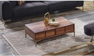 Vina Koltuk Takımı