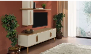 Liza Tv Ünitesi