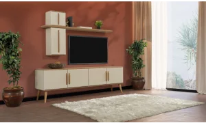 Liza Tv Ünitesi