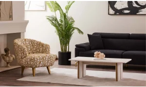 Loren Koltuk Takımı