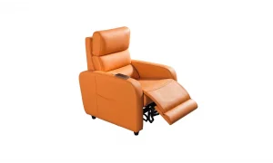 Mali Baba Koltuğu (Motorlu)