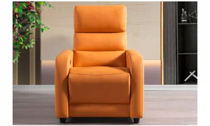 Mali Baba Koltuğu (Motorlu)