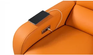 Mali Baba Koltuğu (Motorlu)