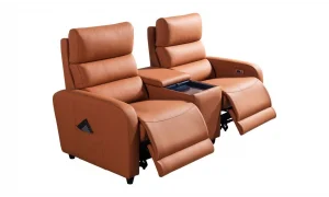 Mari İkili Sinema Koltuğu