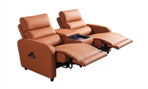 Mari İkili Sinema Koltuğu