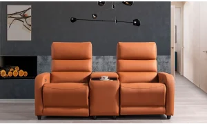 Mari İkili Sinema Koltuğu