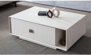 Orjin Koltuk Takımı