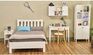 Pan Genç Odası Takımı