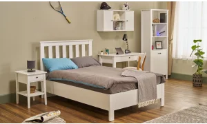 Pan Genç Odası Takımı