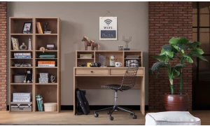 Plus Genç Odası Takımı