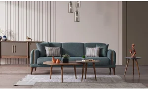 Nesa Koltuk Takımı