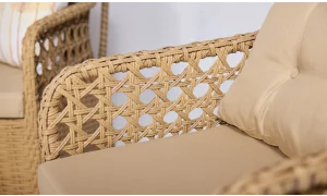 Sofya Çay Seti (Eskitme)