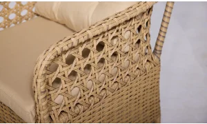 Sofya Çay Seti (Eskitme)