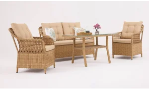 Sofya Çay Seti (Eskitme)