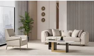 Tesla Koltuk Takımı