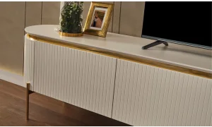 Tesla Luxury Tv Ünitesi