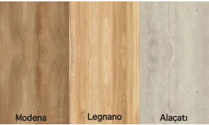 Toronto Çalışma Masası