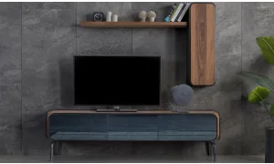 Tual Tv Ünitesi