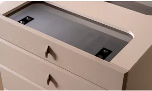 Viral Çamaşırlık