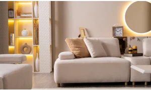 Viral Koltuk Takımı